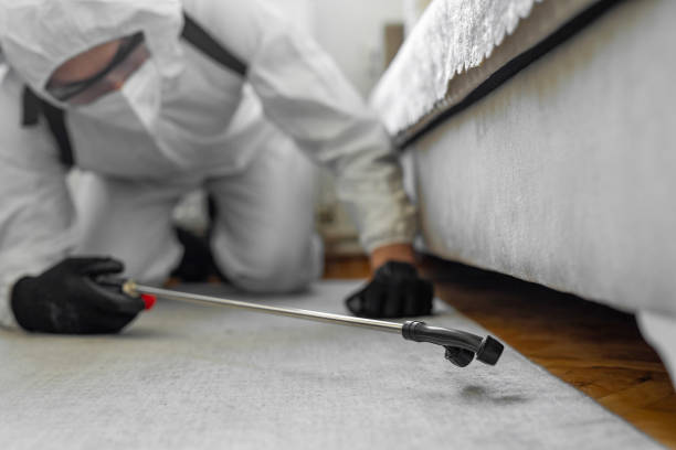 Professional Bed Bug Control technician working in Wells County County, ND